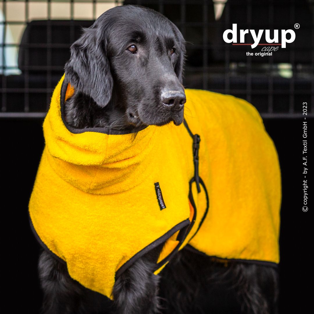 Dryup cape - Geel